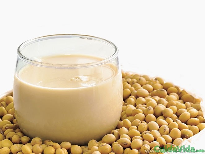 receta leche de soja casera