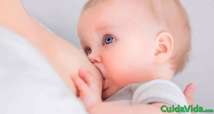 Cómo dejar de producir leche lactancia