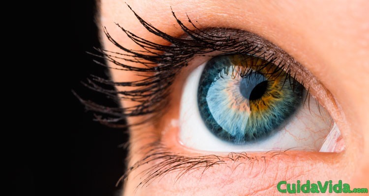 Sindrome de los ojos secos