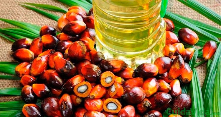 Es aceite de palma bueno para la salud